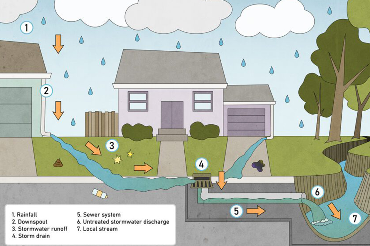 Tyto environmental Services